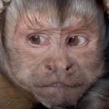 Gillian Ramos's Instagram, Twitter & Facebook