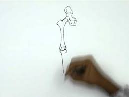 Check spelling or type a new query. How To Draw A Human Bone Leg Youtube