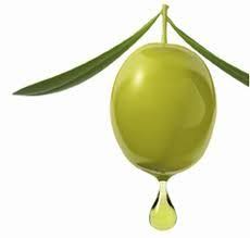 Oilwineitaly Vendita Online Vino E Olio Oil Wine Italy Olijven Olijfolie Olie