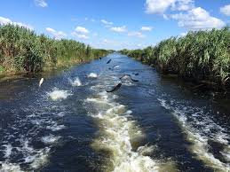 Sejur all inclusive in inima deltei 4zile/3nopti! Danube Delta Boutique Suite For 5 People Natur Lodges Zur Miete In Partizani JudeÈul Tulcea Rumanien