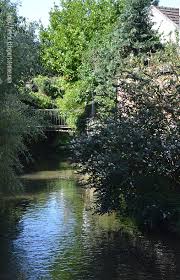 Provins : La Voulzie - Une fleur de Paris