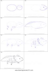 How To Draw A Axolotl Printable Drawing Sheet By Drawingtutorials101 Com Drawing Sheet Drawings Axolotl