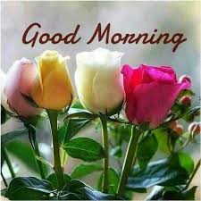 Saraseragmail Com Buon Giorno Good Morning Flowers Good Morning Greetings Flower Quotes