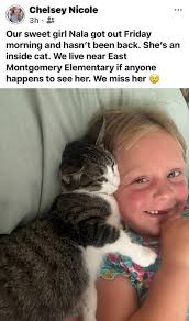 NOP hope they find their baby 🐱 Chelsey Nicole 3h Our sweet girl Nala got  out Friday morning and hasn't been back. She's an inside cat. We live near  East Montgomery Elementary