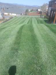 Check spelling or type a new query. Custom Lawn And Shrubs Home Facebook
