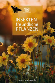 Insektenfreundlicher Garten Pflanzen Auf Die Bienen Co Fliegen Pflanzen Bienen Insekten