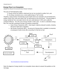 Let's look at the parts of a typical food . Energy Flow In An Ecosystem