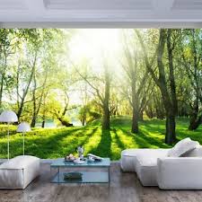 wald landschaft vlies fototapete sonne natur grun wand tapete xxl wohnzimmer ebay fototapete wandtapete tapeten