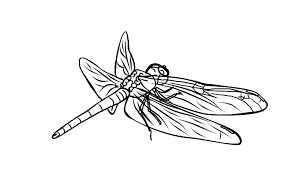 Maybe you would like to learn more about one of these? Free Dragonfly Coloring Page 6