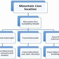 mountain lion suitability model flow chart download