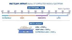 Image result for Preterm Infant Growth