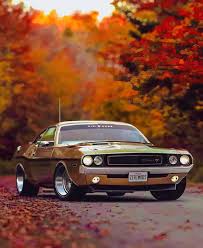 Image result for Burgundy 1970 Chrysler