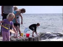 Lasst euch von unserem fabelhaften strand verzaubern und genießt den. Eltern Kind Fachklinik Seefrieden In Dahme Youtube
