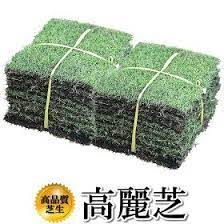 https item rakuten co jp oosumi tm9 10 芝生 tm9 芝 ガーデニング diy