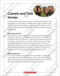 They do not sweat and excrete only. Camels And Their Humps Text Organizer Printable Graphic Organizers Texts