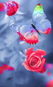 Pin By Graciela Flores On Butterflies In Majestic Forms Butterfly Wallpaper Cute Wallpapers Wallpaper Backgrounds