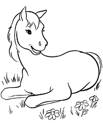 Ausmalbild Kleine Fohlen Auf Der Wiese Ausmalbilder Pferde Ausmalbilder Malbuch Vorlagen