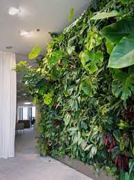 Led lights for growing come in a range of types and colors depending on your particular needs. Plants For An Indoor Wall Houseplants For Indoor Vertical Gardens