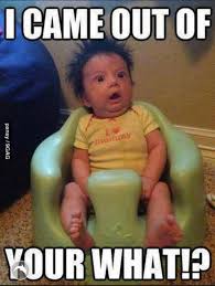 So, when you get a break from laughing at the hilarious stuff they do daily, check out this list of baby jokes that'll keep you nodding in agreement. Funny Baby Jokes Photos
