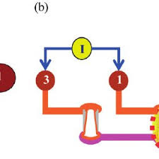 We would like to show you a description here but the site won't allow us. The Kelvin Test Structure A Top View And B 3 D View Download Scientific Diagram