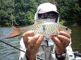 Hasil gambar untuk orang mancing ikan