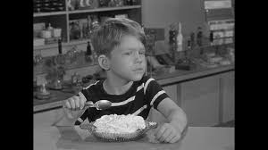 The show centered around andy taylor (played by andy griffith). Show And Prove Cultural Database Opie Taylor