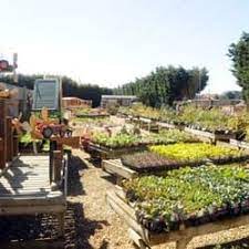 Image Result For Garden Centres Near Me Open Today Holton Road Garden Centre Holton Road Ip Hg Halesworth R Indoor Gardening Kit Lakeside Garden Garden Center