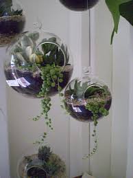 It is best to avoid them and choose plastic. Terrarium Globe Hanging Air Plants Air Plants Decor Hanging Plants