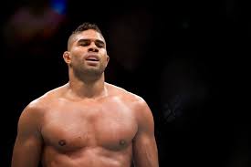Het verenkleed van een mannetje is bovenaan bruin en onderaan vaalwit met dunne grijze strepen. Overeem Gaat Knock Out Tegen Volkov In Ufc Gevecht Las Vegas Sport Ad Nl