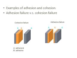 Each molecule of a compound is made from two or more different kinds of atoms that are chemically bonded. Principles Of Adhesion Assist Proff Dr Emad Farhan