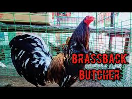 Vintage rooster table lamp with a beaded milk glass base. Brassback Butcher Youtube