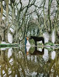 An Elopement Adventure From The Dark Hedges To A Castle In Northern Ireland Green Wedding Shoes Castle Wedding Ireland Ireland Wedding Dress Dark Hedges