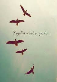 Filiz Yurter Adli Kullanicinin Resimler Panosundaki Pin Ozlu Sozler Guzel Soz Hayaller