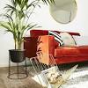 35 neu deko wohnzimmer pflanzen wohnzimmer pflanzen, wohnzimmer. 1