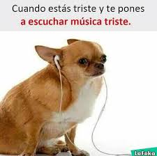 10 músicas que viraram memes e marcaram 2020. Cuando Estas Triste Y Escuchas Musica Triste Quecomico Com