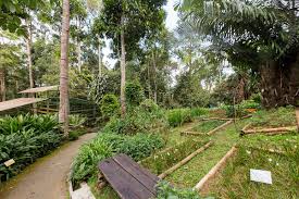 Check spelling or type a new query. 12 Tempat Menarik Di Bukit Tinggi Pahang Wow Terasa Di Perancis