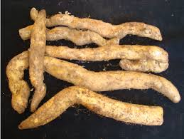 Image result for Dioscorea cayenensis
