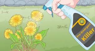 4 Manieres De Eteindre Un Feu Wikihow