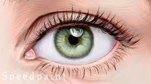 Realistic Eye Drawing On Photoshop - Youtube