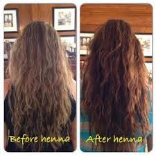 There was a distinct line of demarcation between my that was treated with henna and the hair that wasn't. Pin On My Blog Posts