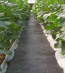 This is another cover made from polypropylene, giving it more of a plastic than a. Weed Barrier