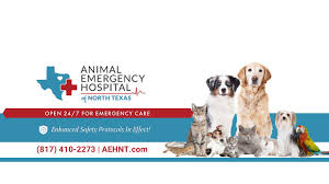 Maybe you would like to learn more about one of these? Animal Emergency Hospital Of North Texas Home Facebook