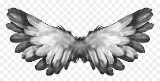 Maybe you would like to learn more about one of these? Free Png Download Angel Wings Feathers Png Images Background Bible Accurate Angels Transparent Png Vhv