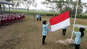 Sim pkb adalah sebuah sistem informasi manajemen (sim) yang akan dipergunakan pada program pengembangan keprofesioan berkelanjutan (pkb). Cek Info Gtk Terbaru Bagi Guru Harus Lewat Sim Pkb Begini Caranya Tribun Sumsel