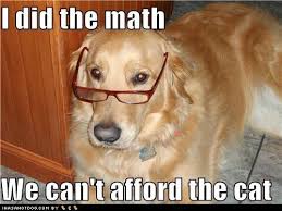 I Did The Math Loldogs Dogs N Puppy Dog Pictures I Has A Hotdog Funny Dog Memes Funny Dog Pictures Dog Memes