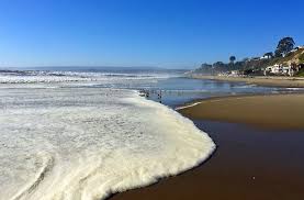 Mystery Of The Red Tide Scientific American Blog Network