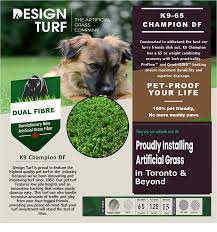 Droppings become dry and hard making clean up a breeze. Artificial Grass Pet Turf Toronto Dog Turf Toronto Design Turf