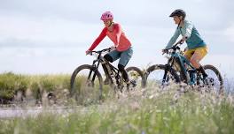 Ride and Connect: LVRT | AARP Events
