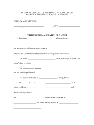 Fl Petition For Emancipation Of A Minor 2009-2022 - Complete Legal Document  Online | Us Legal Forms