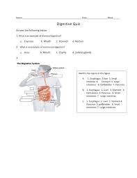 A lot of individuals admittedly had a hard t. Digestive System Quiz